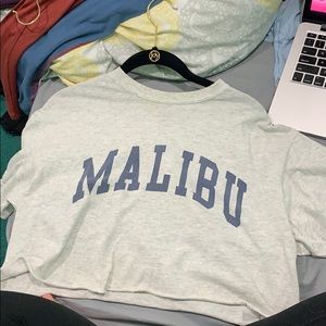 Brandy melville crop top